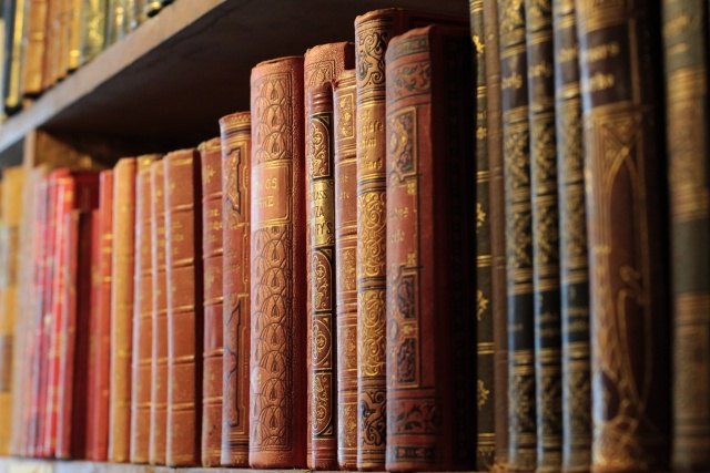 A bookshelf filled with classic books, symbolizing the academic exploration and humanities foundation of Busan International College's Bachelor of Arts (BA) programs, including Global Business, Global Korean Studies, Tech Management & Innovation, and Culture & Design Management.